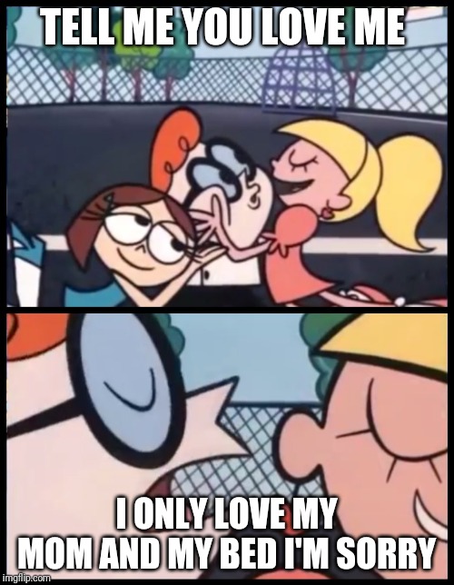 Say it Again, Dexter | TELL ME YOU LOVE ME; I ONLY LOVE MY MOM AND MY BED I'M SORRY | image tagged in memes,say it again dexter | made w/ Imgflip meme maker