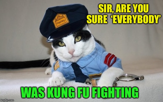 Well.. it was a little bit frightening. | SIR, ARE YOU SURE  ‘EVERYBODY’; WAS KUNG FU FIGHTING | image tagged in police cat,kung fu,carl douglas,1970's,disco,hmmm cat | made w/ Imgflip meme maker