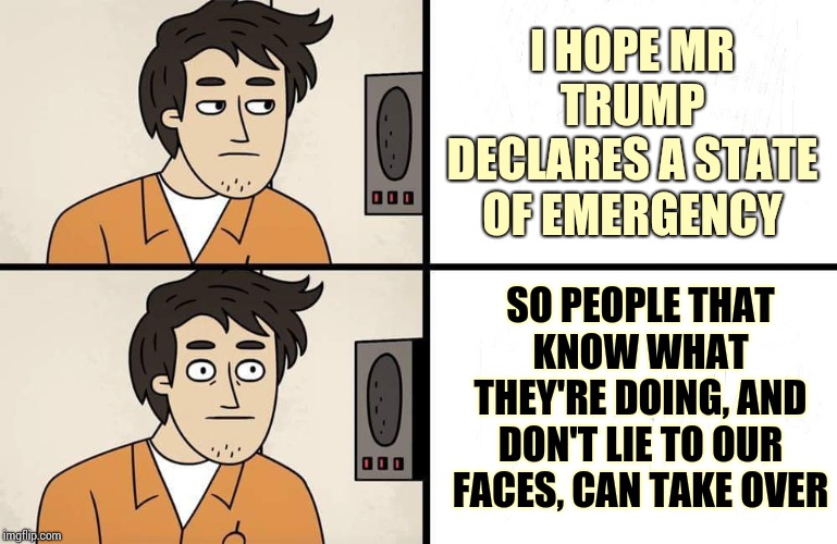 Trump's Decision Making Is Flawed At Best.  Criminal At Worst | I HOPE MR TRUMP DECLARES A STATE OF EMERGENCY; SO PEOPLE THAT KNOW WHAT THEY'RE DOING, AND DON'T LIE TO OUR FACES, CAN TAKE OVER | image tagged in scp advert,memes,trump unfit unqualified dangerous,fema,lock him up,liar in chief | made w/ Imgflip meme maker