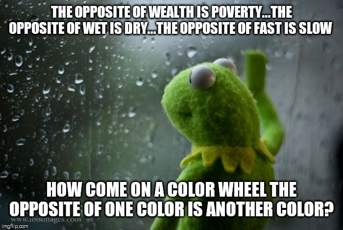 Kermit takes a moment to ponder opposites... | THE OPPOSITE OF WEALTH IS POVERTY...THE OPPOSITE OF WET IS DRY...THE OPPOSITE OF FAST IS SLOW; HOW COME ON A COLOR WHEEL THE OPPOSITE OF ONE COLOR IS ANOTHER COLOR? | image tagged in kermit window,colors,opposites | made w/ Imgflip meme maker