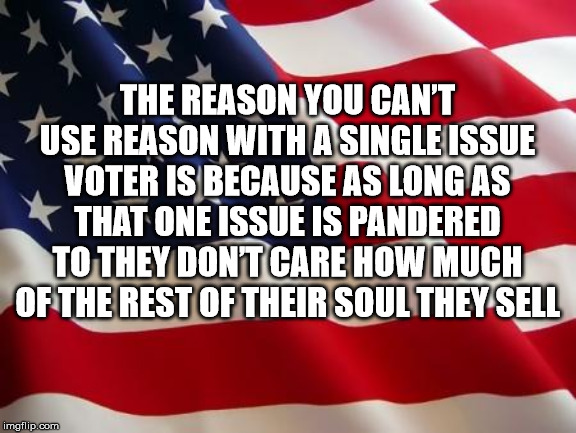 Single Issue Voter | THE REASON YOU CAN’T USE REASON WITH A SINGLE ISSUE VOTER IS BECAUSE AS LONG AS THAT ONE ISSUE IS PANDERED TO THEY DON’T CARE HOW MUCH OF THE REST OF THEIR SOUL THEY SELL | image tagged in american flag,vote,single issue voter,republican,democrat,america | made w/ Imgflip meme maker