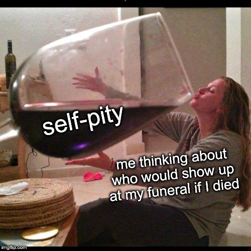 Wine Drinker | me thinking about who would show up at my funeral if I died self-pity | image tagged in wine drinker | made w/ Imgflip meme maker