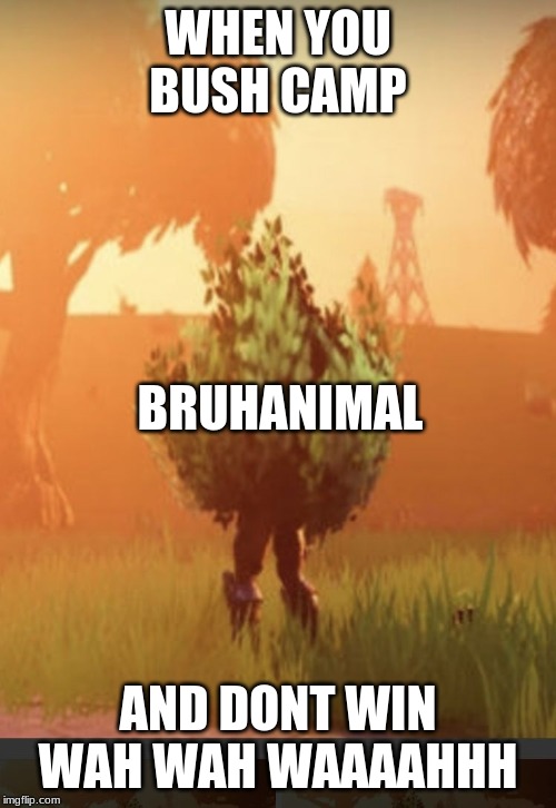 Fortnite bush | WHEN YOU BUSH CAMP; BRUHANIMAL; AND DONT WIN
WAH WAH WAAAAHHH | image tagged in fortnite bush | made w/ Imgflip meme maker