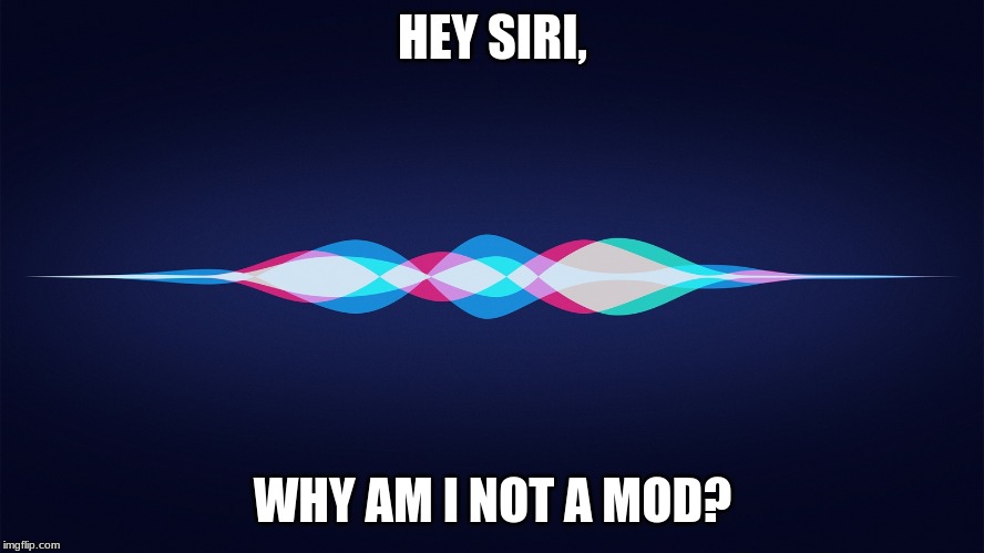 siri | HEY SIRI, WHY AM I NOT A MOD? | image tagged in siri | made w/ Imgflip meme maker