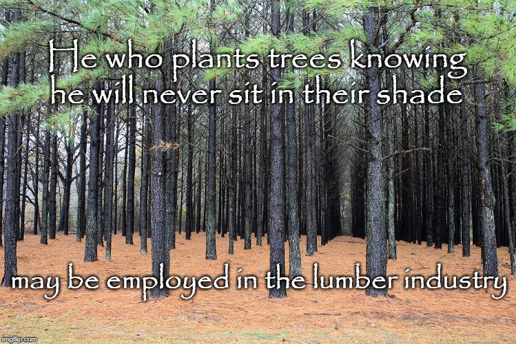 Trees | He who plants trees knowing he will never sit in their shade; may be employed in the lumber industry | image tagged in trees,shade,philosophy | made w/ Imgflip meme maker