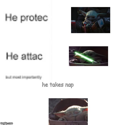 he takes nap | image tagged in imgflip | made w/ Imgflip meme maker