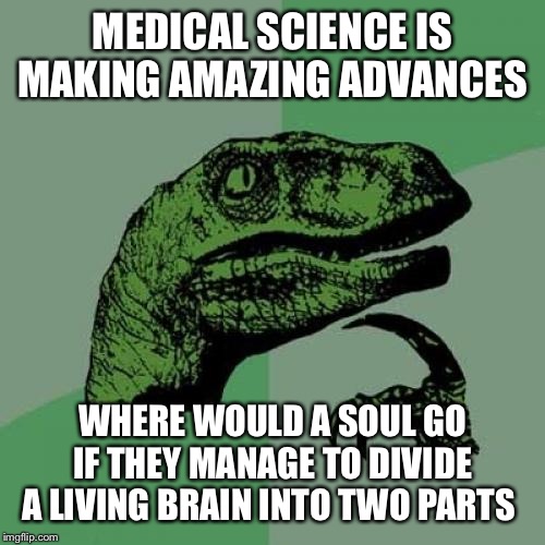 Philosoraptor | MEDICAL SCIENCE IS MAKING AMAZING ADVANCES; WHERE WOULD A SOUL GO IF THEY MANAGE TO DIVIDE A LIVING BRAIN INTO TWO PARTS | image tagged in memes,philosoraptor | made w/ Imgflip meme maker