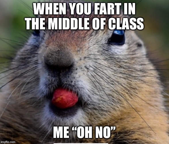 Fart | WHEN YOU FART IN THE MIDDLE OF CLASS; ME “OH NO” | image tagged in memes,funny memes,meme,funny meme,fart,farting | made w/ Imgflip meme maker