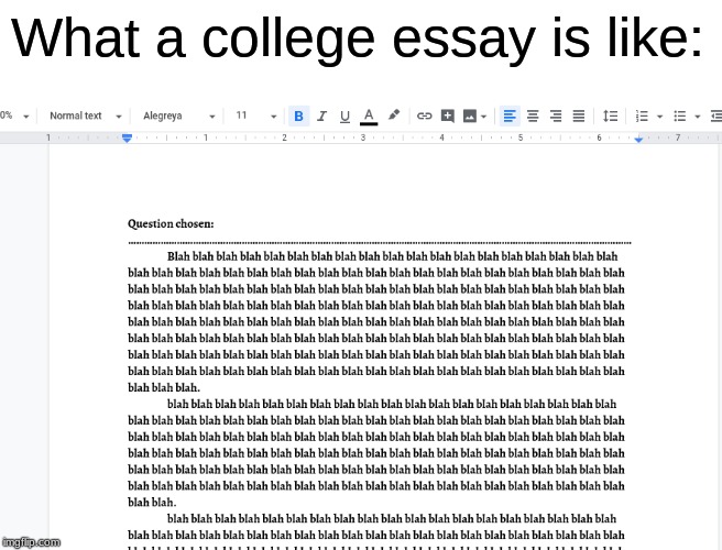 What a college essay is like: | image tagged in funny memes | made w/ Imgflip meme maker