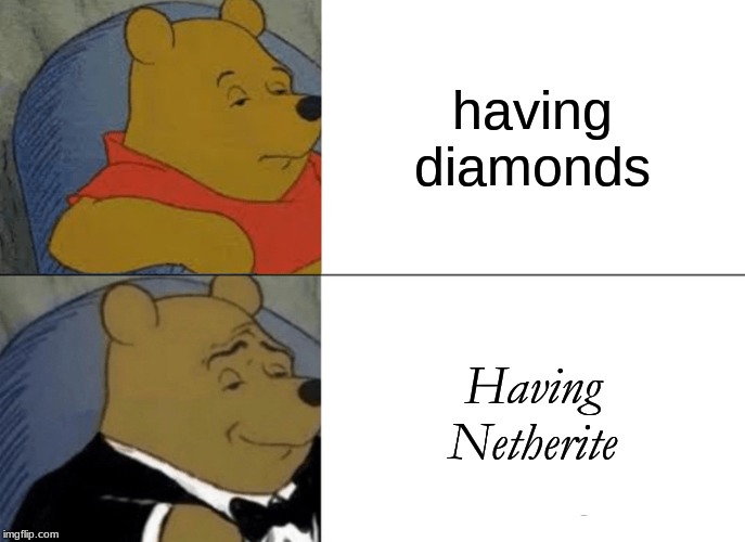 Tuxedo Winnie The Pooh Meme | having diamonds; Having Netherite | image tagged in memes,tuxedo winnie the pooh | made w/ Imgflip meme maker