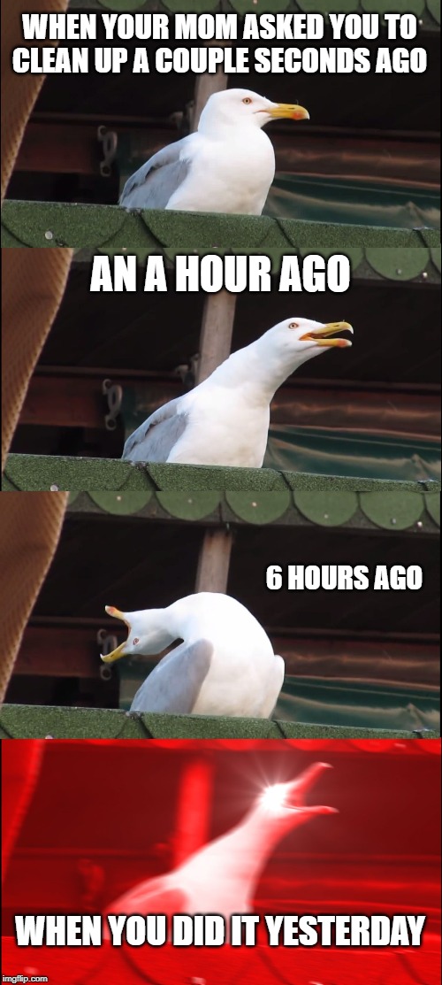 Inhaling Seagull | WHEN YOUR MOM ASKED YOU TO CLEAN UP A COUPLE SECONDS AGO; AN A HOUR AGO; 6 HOURS AGO; WHEN YOU DID IT YESTERDAY | image tagged in memes,inhaling seagull | made w/ Imgflip meme maker