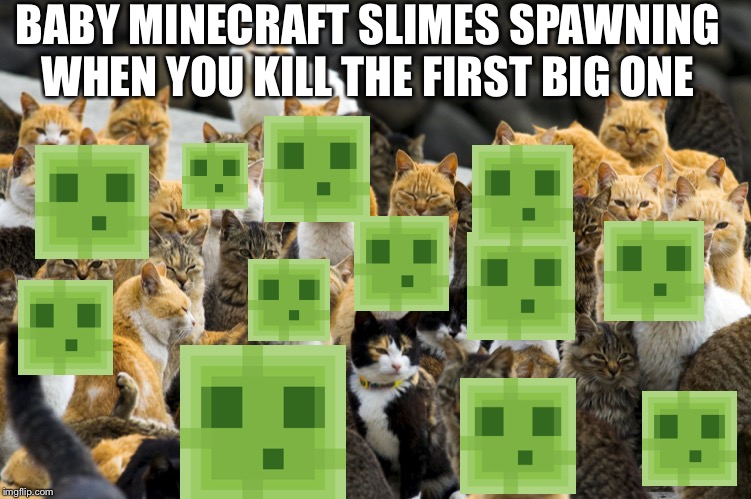 Many Cats | BABY MINECRAFT SLIMES SPAWNING WHEN YOU KILL THE FIRST BIG ONE | image tagged in many cats,memes,funny,funny memes,minecraft | made w/ Imgflip meme maker