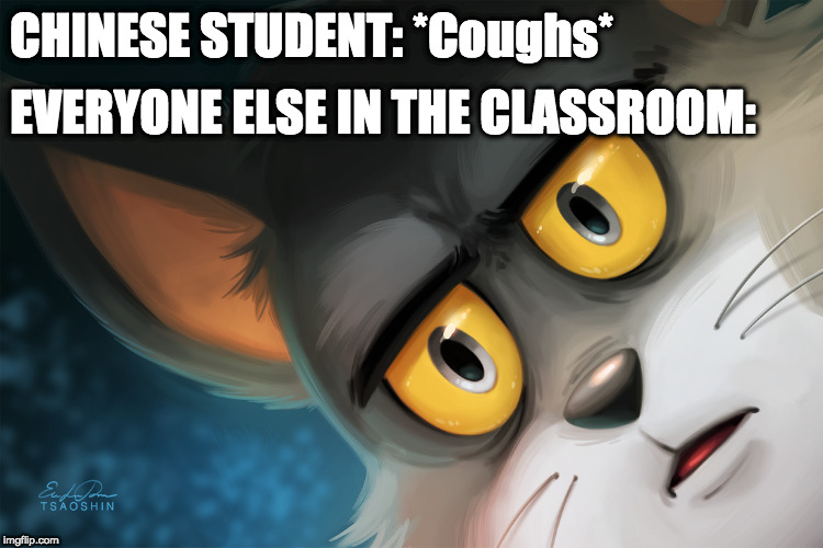 Unsettled Tom Stylized | CHINESE STUDENT: *Coughs* EVERYONE ELSE IN THE CLASSROOM: | image tagged in unsettled tom stylized | made w/ Imgflip meme maker