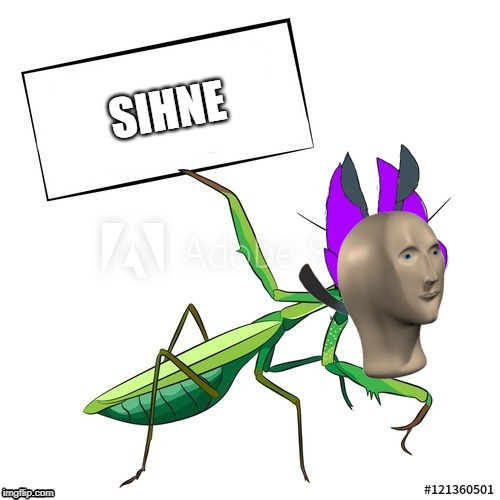 Lamanny Holds a Sign 2.0 | SIHNE | image tagged in lamanny holds a sign 20 | made w/ Imgflip meme maker