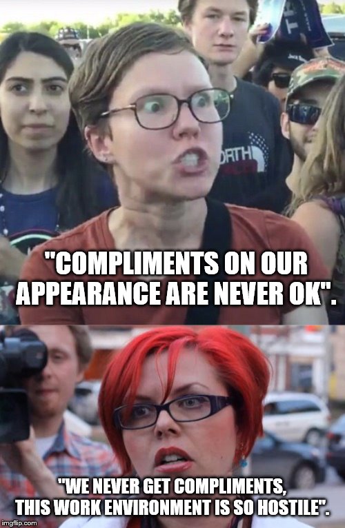 Image tagged in angry feminist,triggered feminist - Imgflip