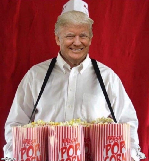 Make Popcorn Great Again | image tagged in trump popcorn 2020 | made w/ Imgflip meme maker