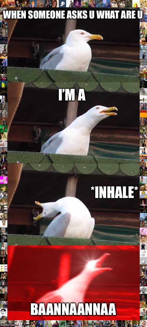 Inhaling Seagull Meme | WHEN SOMEONE ASKS U WHAT ARE U; I’M A; *INHALE*; BAANNAANNAA | image tagged in memes,inhaling seagull | made w/ Imgflip meme maker