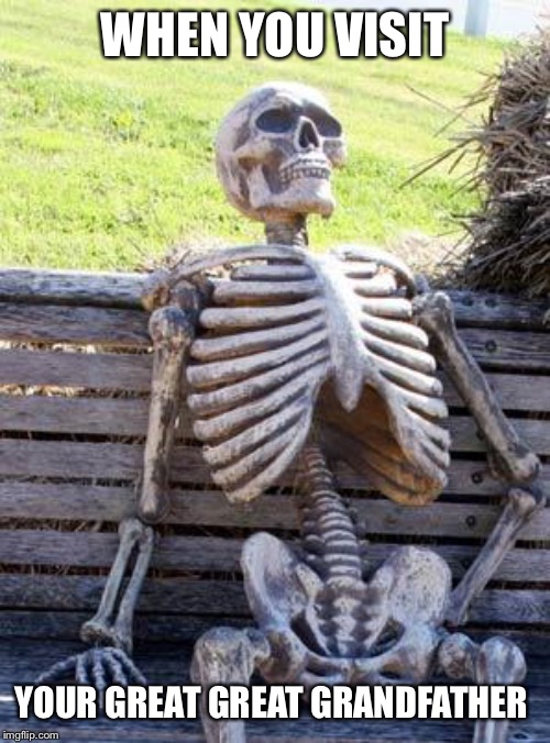 Waiting Skeleton | WHEN YOU VISIT; YOUR GREAT GREAT GRANDFATHER | image tagged in memes,waiting skeleton | made w/ Imgflip meme maker