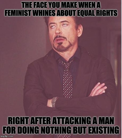 gender equality does not mean one is better then the other, no matter which one is which! | THE FACE YOU MAKE WHEN A FEMINIST WHINES ABOUT EQUAL RIGHTS; RIGHT AFTER ATTACKING A MAN FOR DOING NOTHING BUT EXISTING | image tagged in memes,face you make robert downey jr,feminist,politics | made w/ Imgflip meme maker
