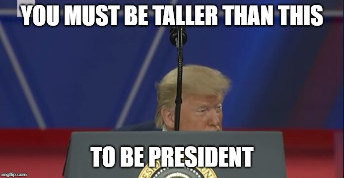Trump Bloomberg | YOU MUST BE TALLER THAN THIS; TO BE PRESIDENT | image tagged in trump bloomberg | made w/ Imgflip meme maker