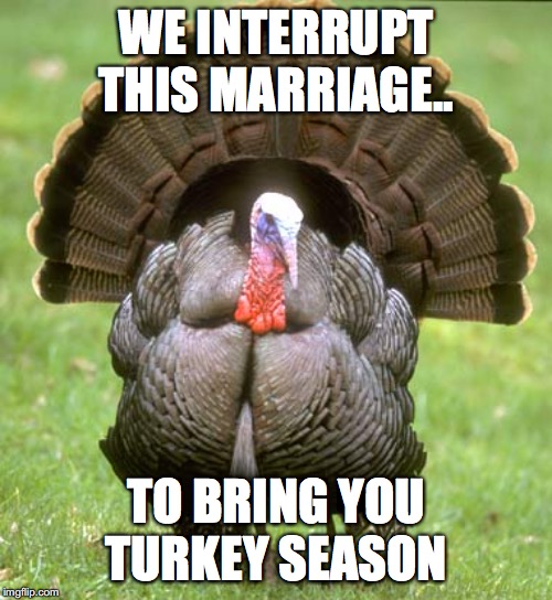 Turkey |  WE INTERRUPT THIS MARRIAGE.. TO BRING YOU TURKEY SEASON | image tagged in memes,turkey | made w/ Imgflip meme maker