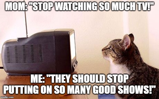 90s had AWESOME TV shows | MOM: "STOP WATCHING SO MUCH TV!"; ME: "THEY SHOULD STOP PUTTING ON SO MANY GOOD SHOWS!" | image tagged in cat watching tv | made w/ Imgflip meme maker