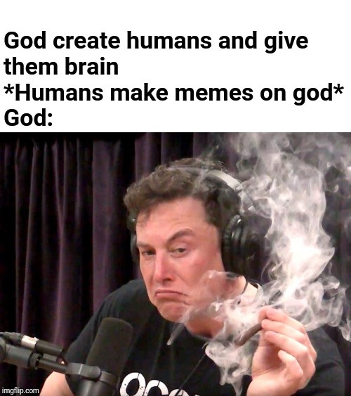 elon musk smoking weed | God create humans and give
them brain
*Humans make memes on god*
God: | image tagged in elon musk smoking weed | made w/ Imgflip meme maker