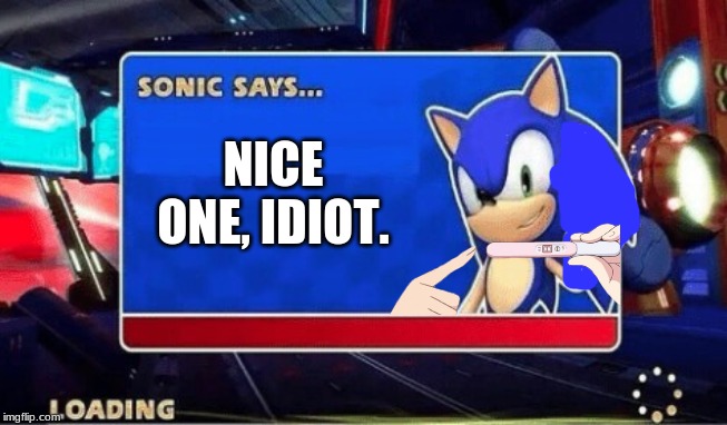Sonic Says | NICE ONE, IDIOT. | image tagged in sonic says | made w/ Imgflip meme maker