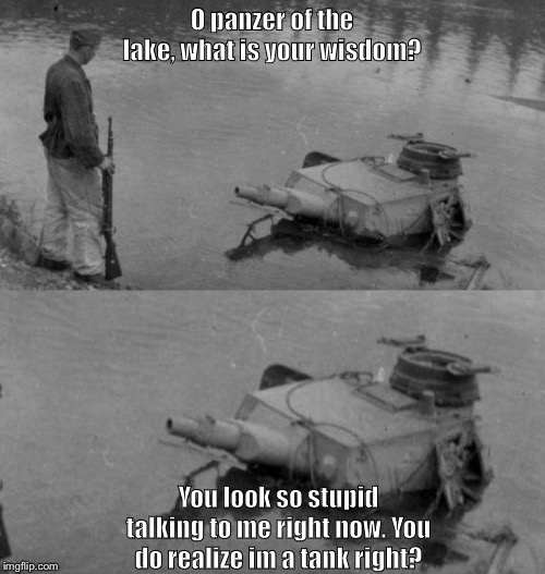 Panzer of the lake | O panzer of the lake, what is your wisdom? You look so stupid talking to me right now. You do realize im a tank right? | image tagged in panzer of the lake | made w/ Imgflip meme maker