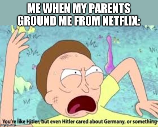 Rick and Morty | ME WHEN MY PARENTS GROUND ME FROM NETFLIX: | image tagged in rick and morty,hitler,meme,memes | made w/ Imgflip meme maker