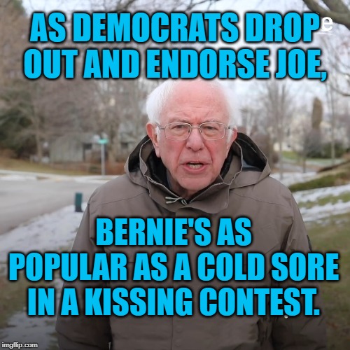 Bernie Sanders No-text | AS DEMOCRATS DROP OUT AND ENDORSE JOE, BERNIE'S AS POPULAR AS A COLD SORE IN A KISSING CONTEST. | image tagged in bernie sanders no-text | made w/ Imgflip meme maker