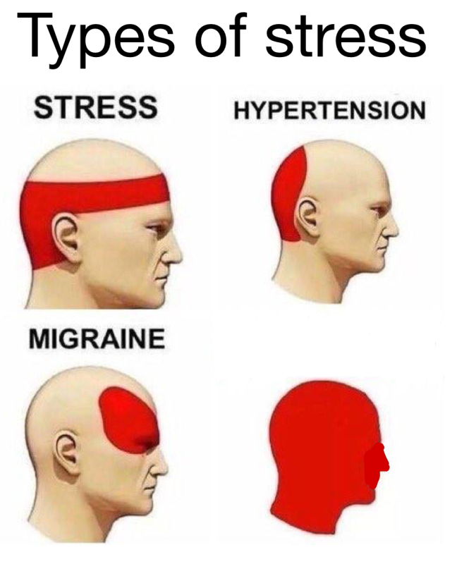 Types of Stress Blank Meme Template