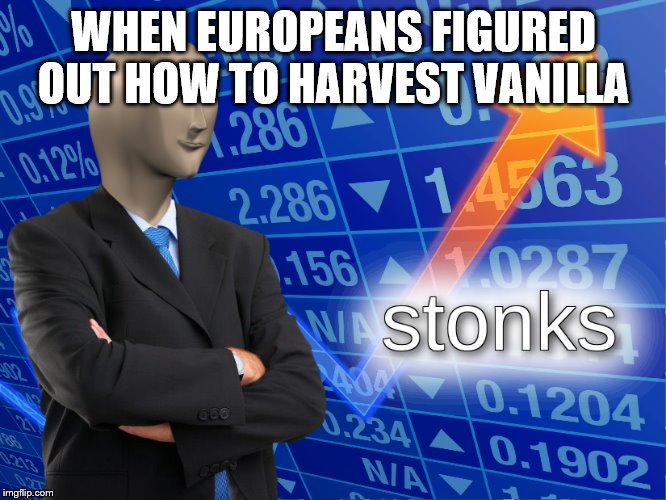 stonks | WHEN EUROPEANS FIGURED OUT HOW TO HARVEST VANILLA | image tagged in stonks | made w/ Imgflip meme maker