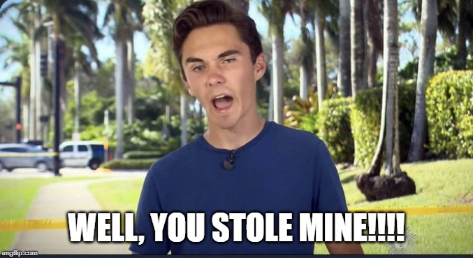 David Hogg | WELL, YOU STOLE MINE!!!! | image tagged in david hogg | made w/ Imgflip meme maker