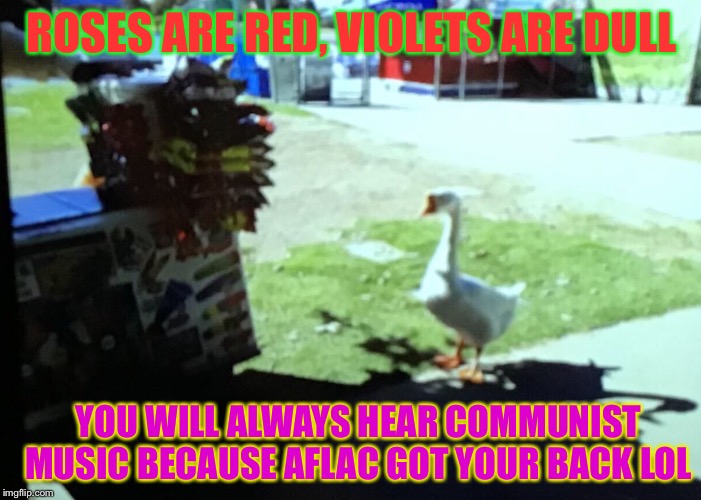 My friend found a random duck at a park, took a picture of it, and sent it to me to meme it. Very good choice he made imo XD | ROSES ARE RED, VIOLETS ARE DULL; YOU WILL ALWAYS HEAR COMMUNIST MUSIC BECAUSE AFLAC GOT YOUR BACK LOL | made w/ Imgflip meme maker