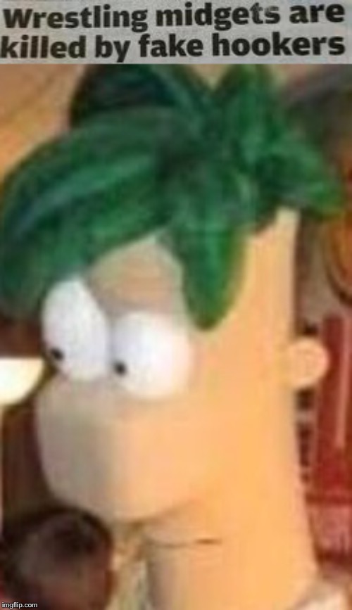 Wtf | image tagged in phineas and ferbias | made w/ Imgflip meme maker