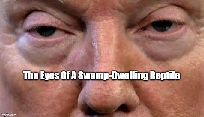 The Eyes Of A Swamp-Dwelling Reptile | made w/ Imgflip meme maker