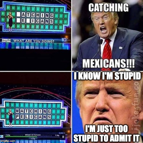 I KNOW I'M STUPID; I'M JUST TOO STUPID TO ADMIT IT | image tagged in donald trump | made w/ Imgflip meme maker