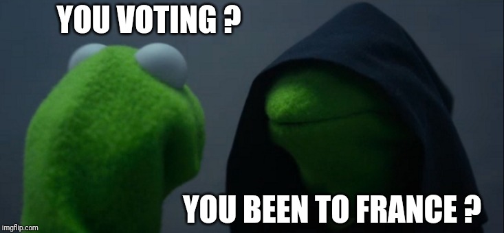 Evil Kermit | YOU VOTING ? YOU BEEN TO FRANCE ? | image tagged in memes,evil kermit | made w/ Imgflip meme maker