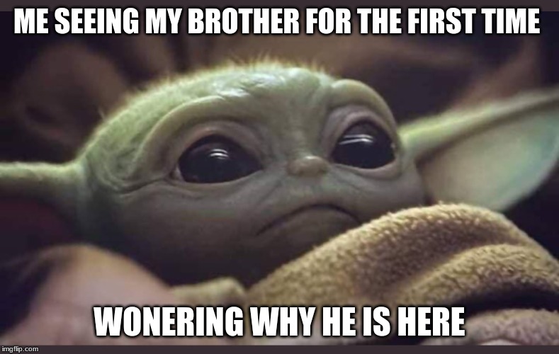 Baby Yoda | ME SEEING MY BROTHER FOR THE FIRST TIME; WONERING WHY HE IS HERE | image tagged in baby yoda | made w/ Imgflip meme maker