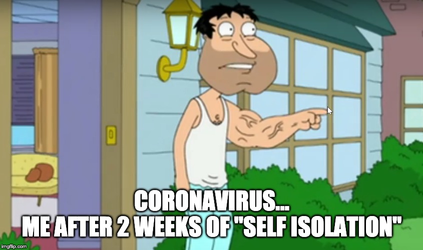 Quagmire Coronavirus | CORONAVIRUS...
ME AFTER 2 WEEKS OF "SELF ISOLATION" | image tagged in quagmire,coronavirus | made w/ Imgflip meme maker