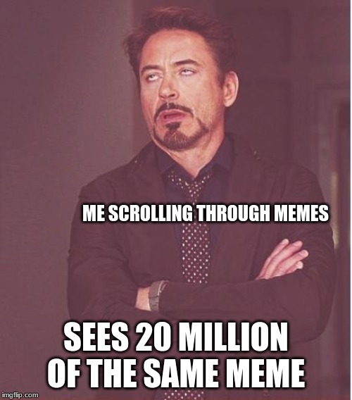 Face You Make Robert Downey Jr Meme | ME SCROLLING THROUGH MEMES; SEES 20 MILLION OF THE SAME MEME | image tagged in memes,face you make robert downey jr | made w/ Imgflip meme maker