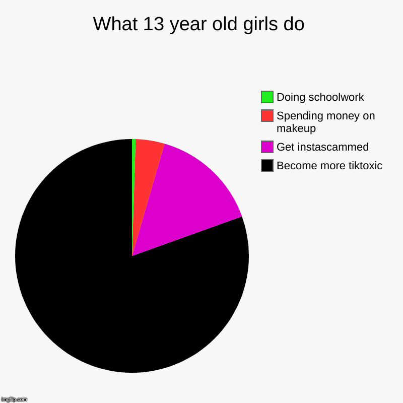 What 13 year old girls do | Become more tiktoxic, Get instascammed, Spending money on makeup, Doing schoolwork | image tagged in charts,pie charts | made w/ Imgflip chart maker