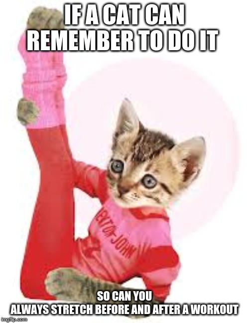 IF A CAT CAN REMEMBER TO DO IT; SO CAN YOU
ALWAYS STRETCH BEFORE AND AFTER A WORKOUT | made w/ Imgflip meme maker