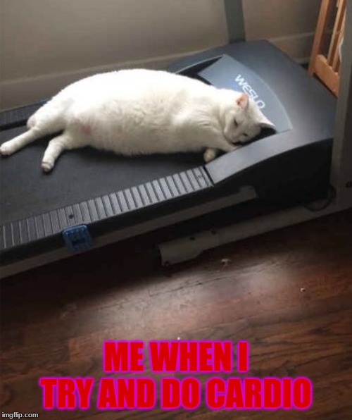 ME WHEN I TRY AND DO CARDIO | made w/ Imgflip meme maker
