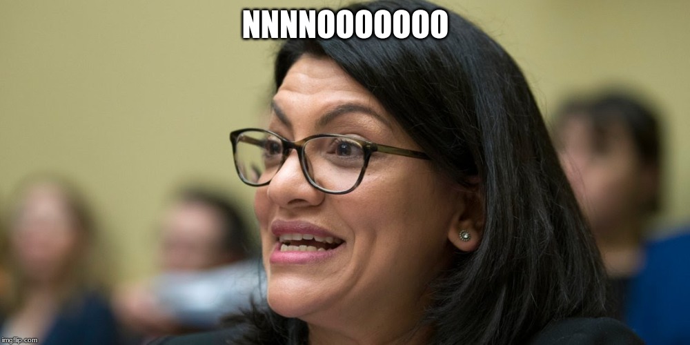 Rashida Tlaib | NNNNOOOOOOO | image tagged in rashida tlaib | made w/ Imgflip meme maker