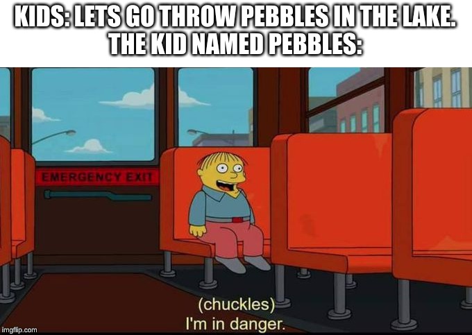 im in danger | KIDS: LETS GO THROW PEBBLES IN THE LAKE.
THE KID NAMED PEBBLES: | image tagged in im in danger | made w/ Imgflip meme maker