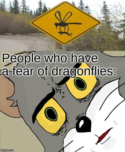 Unsettled Tom | People who have a fear of dragonflies: | image tagged in memes,unsettled tom | made w/ Imgflip meme maker