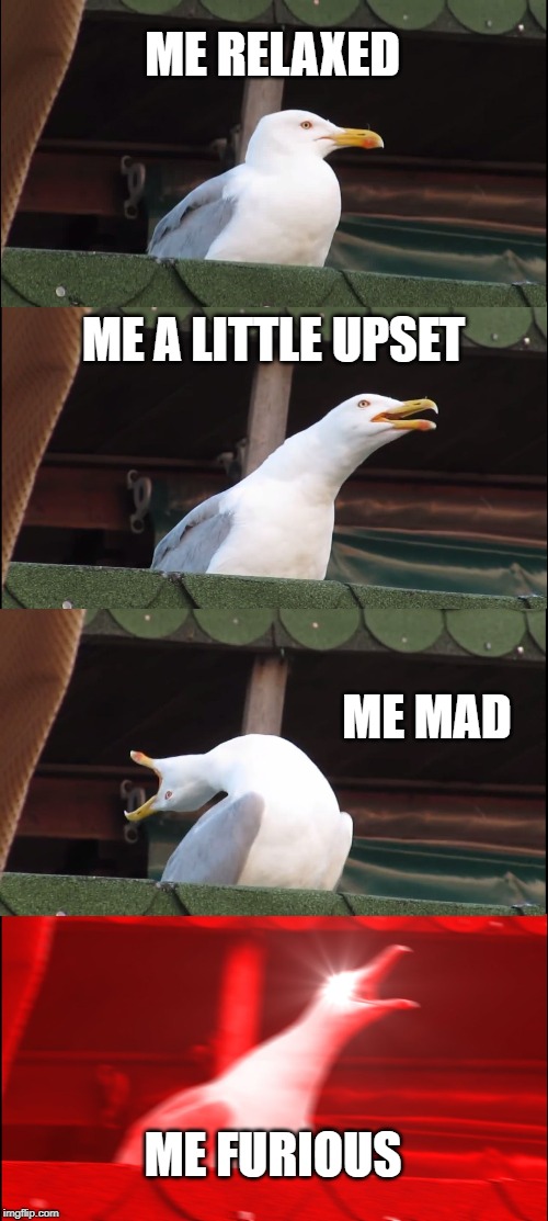 Inhaling Seagull Meme | ME RELAXED; ME A LITTLE UPSET; ME MAD; ME FURIOUS | image tagged in memes,inhaling seagull | made w/ Imgflip meme maker