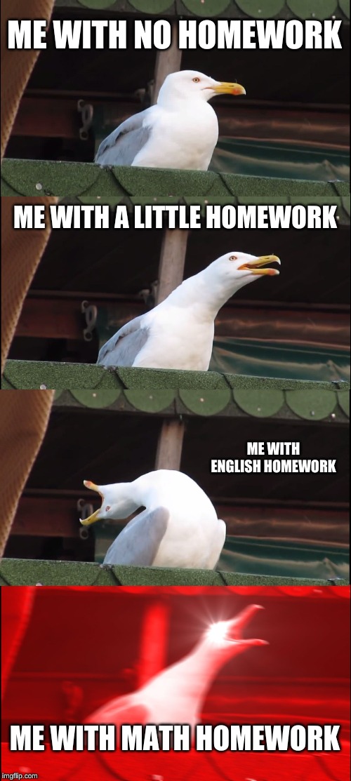 Inhaling Seagull Meme | ME WITH NO HOMEWORK; ME WITH A LITTLE HOMEWORK; ME WITH ENGLISH HOMEWORK; ME WITH MATH HOMEWORK | image tagged in memes,inhaling seagull | made w/ Imgflip meme maker